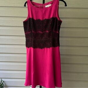 LOFT Fushia Sleeveless Swing Dress with Lace Bodice Size 6 NWOT